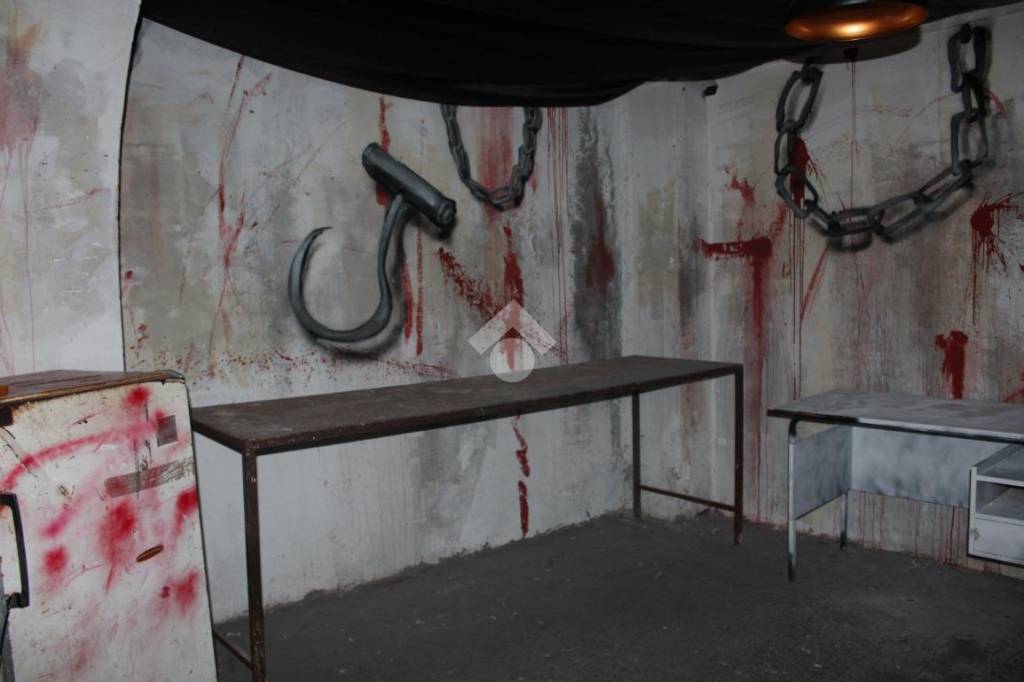 immagine annuncio 5 di 13