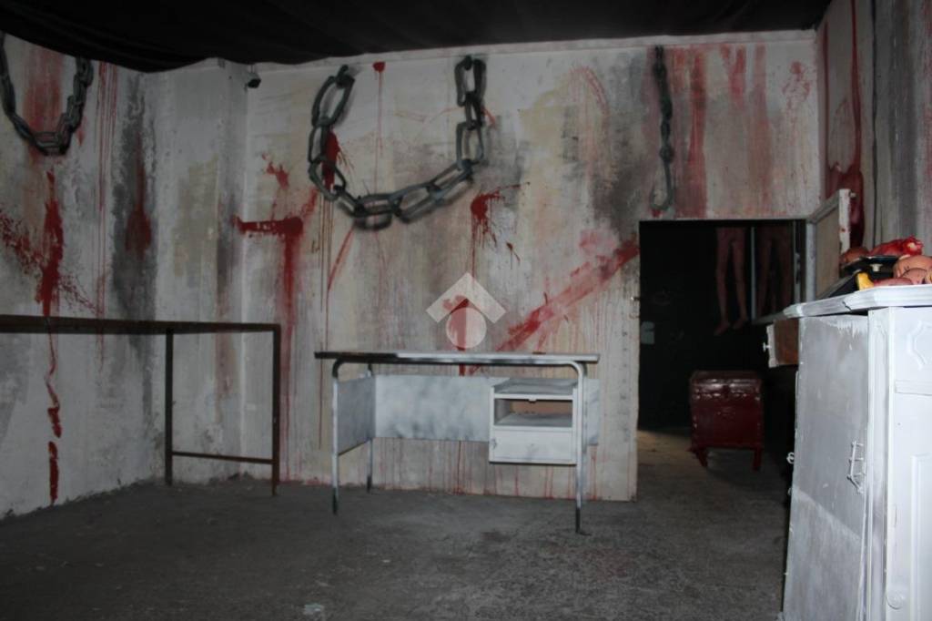 immagine annuncio 6 di 13