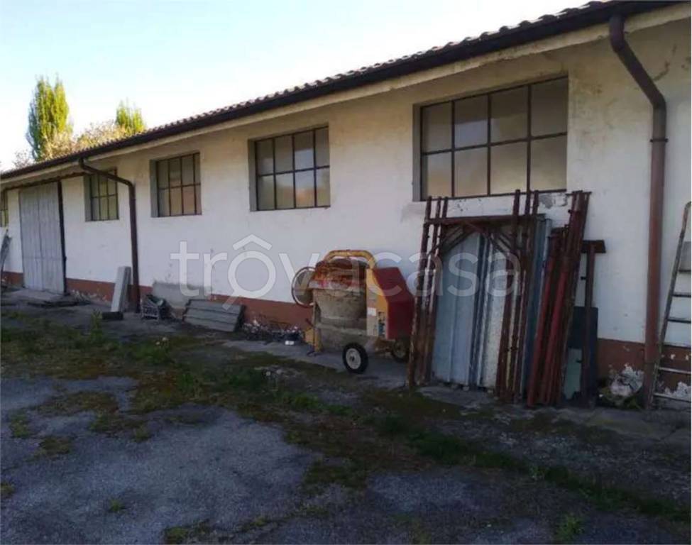 immagine annuncio 4 di 11