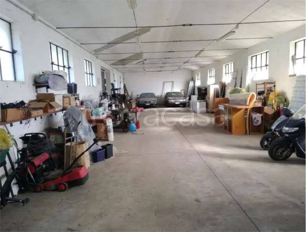 immagine annuncio 5 di 11