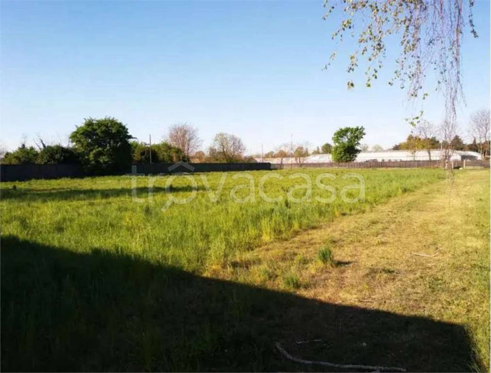 immagine annuncio 8 di 11