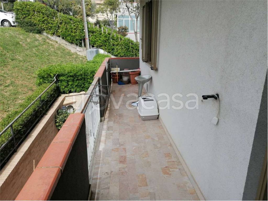 immagine annuncio 3 di 11