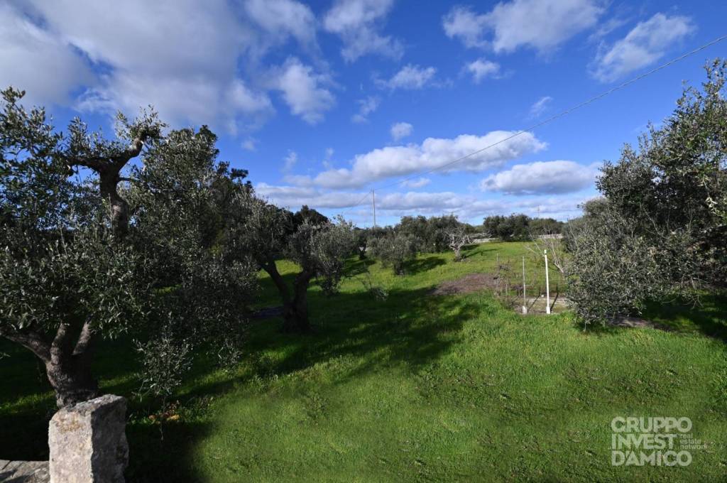 immagine annuncio 10 di 14