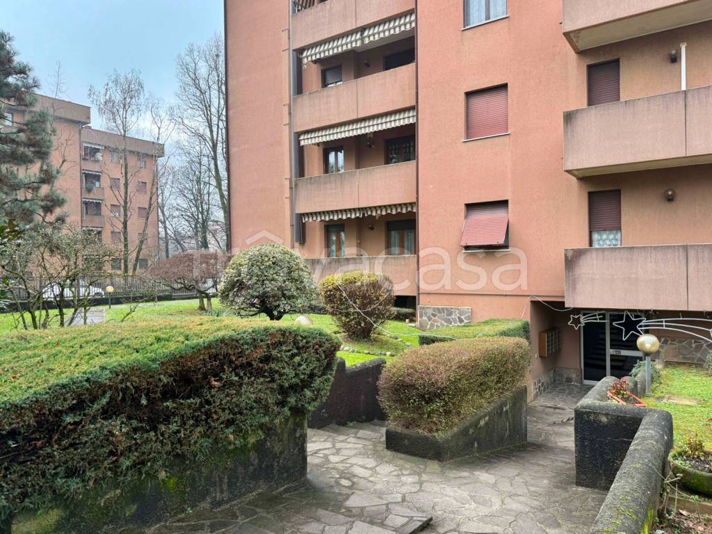 immagine annuncio 3 di 15