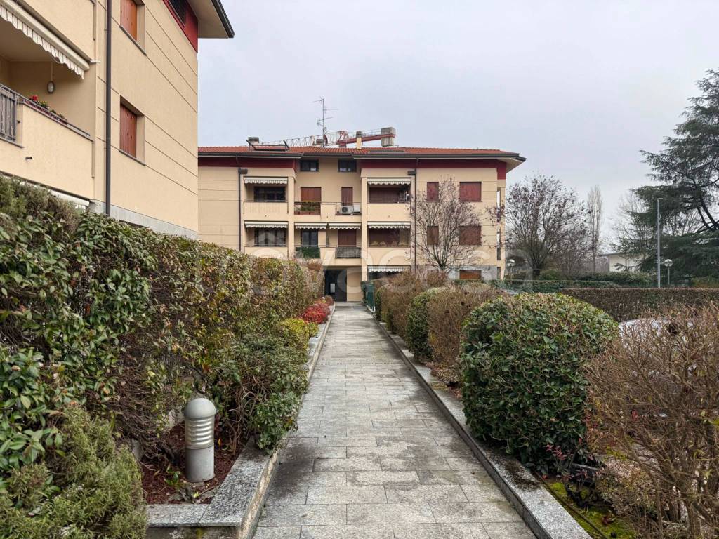 immagine annuncio 1 di 15