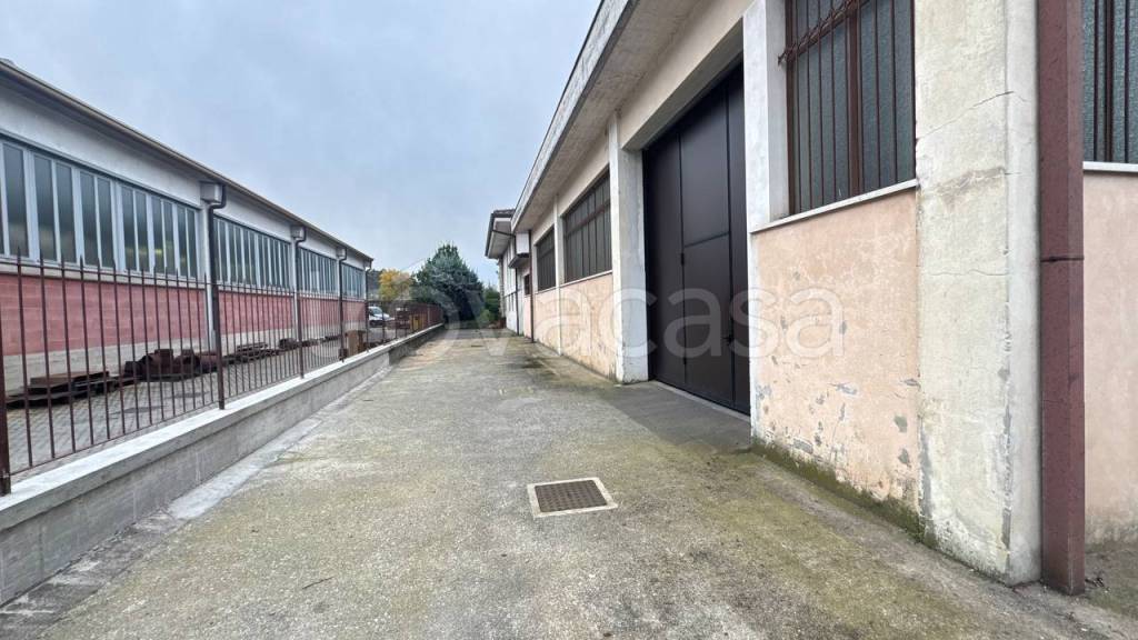 immagine annuncio 11 di 15