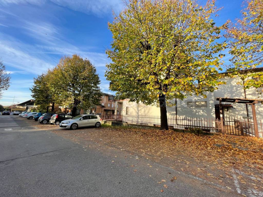 immagine annuncio 14 di 15