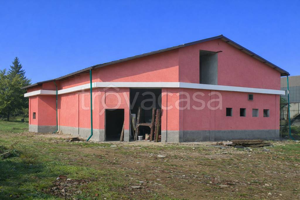 immagine annuncio 6 di 7