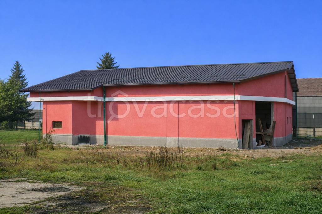 immagine annuncio 3 di 7