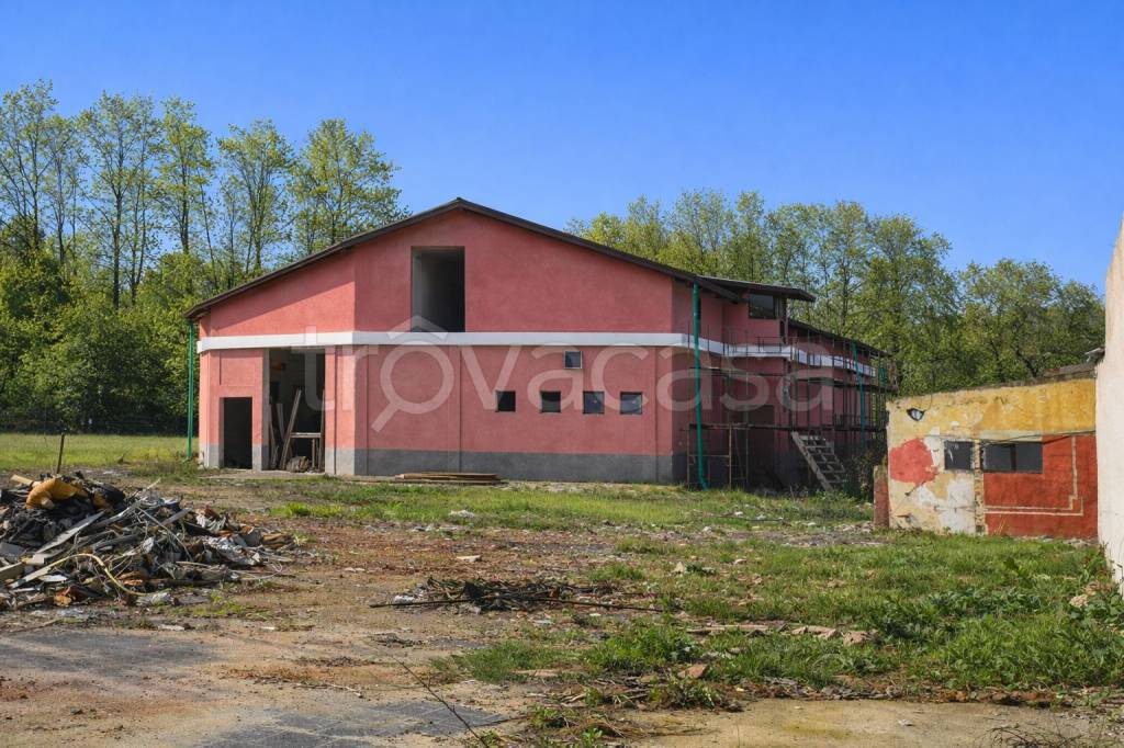 immagine annuncio 2 di 7