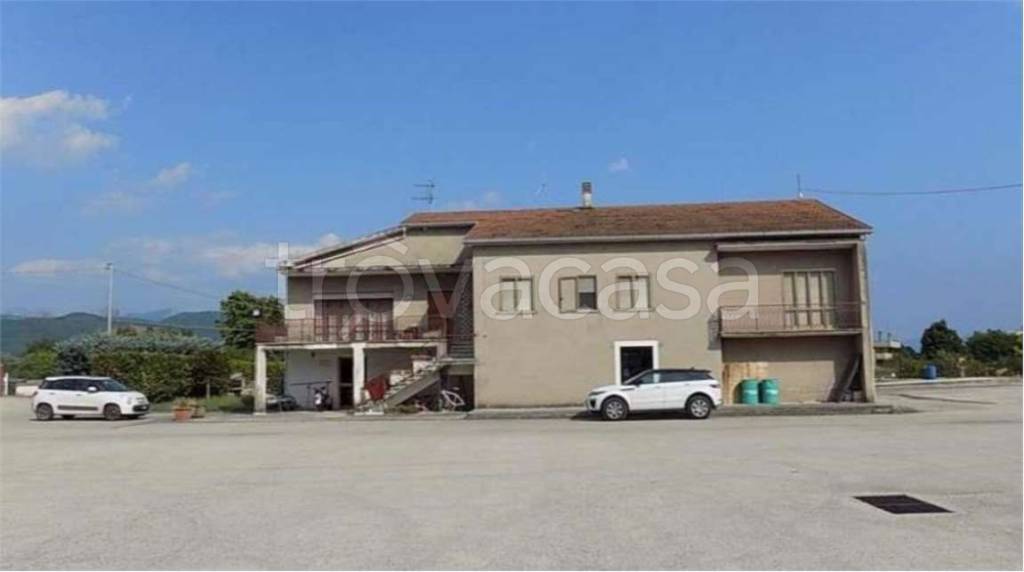 immagine annuncio 12 di 13