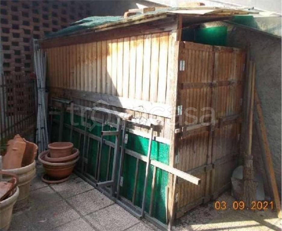 immagine annuncio 2 di 14