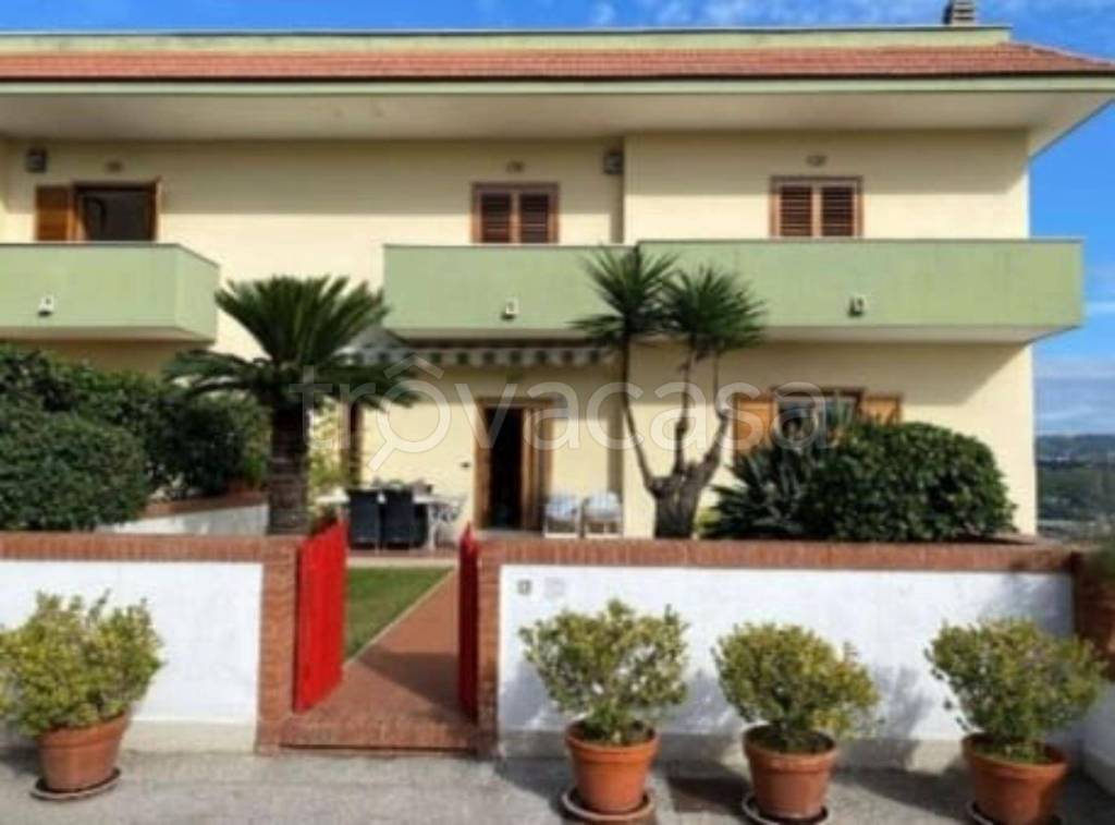 immagine annuncio 7 di 11