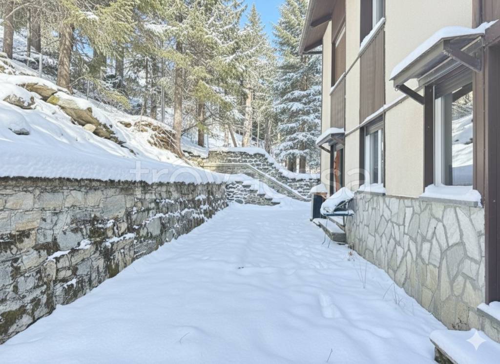 immagine annuncio 13 di 14