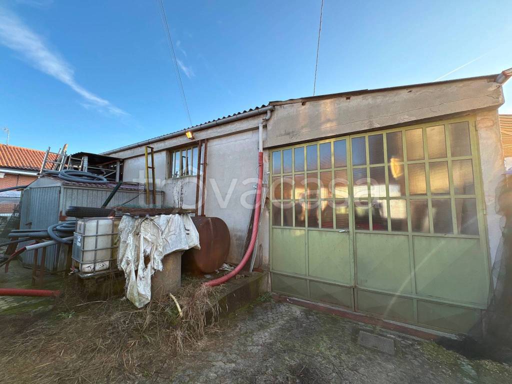 immagine annuncio 7 di 12