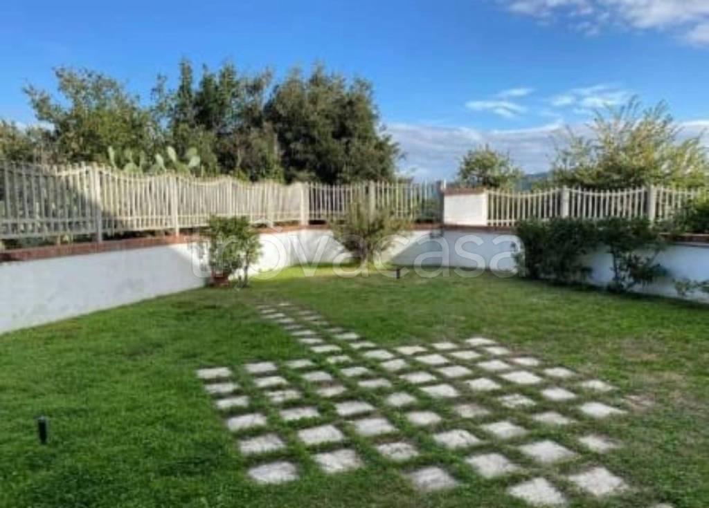 immagine annuncio 6 di 14