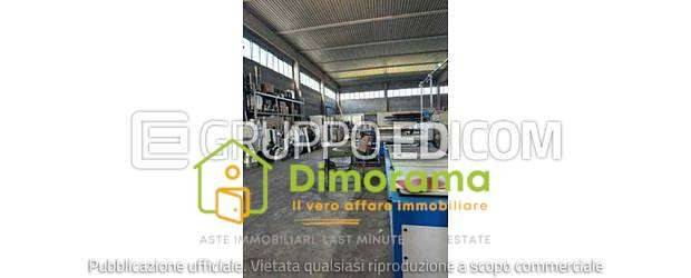 immagine annuncio 10 di 15