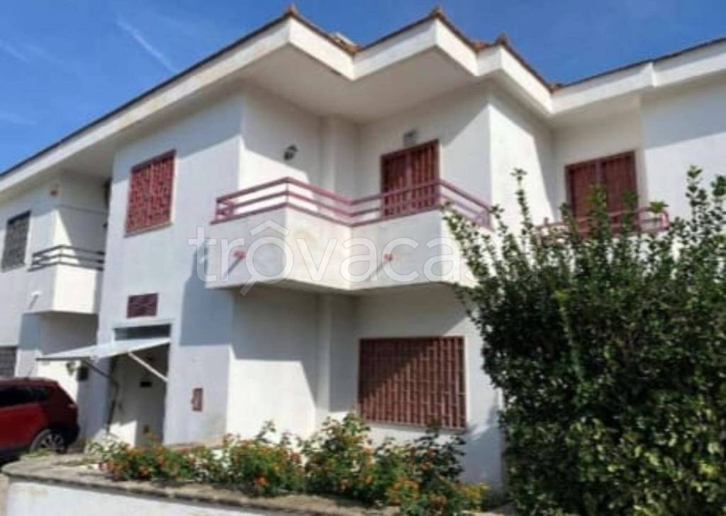 immagine annuncio 7 di 14