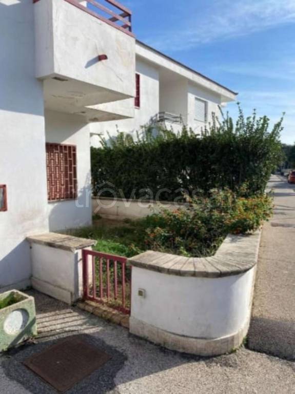 immagine annuncio 10 di 14