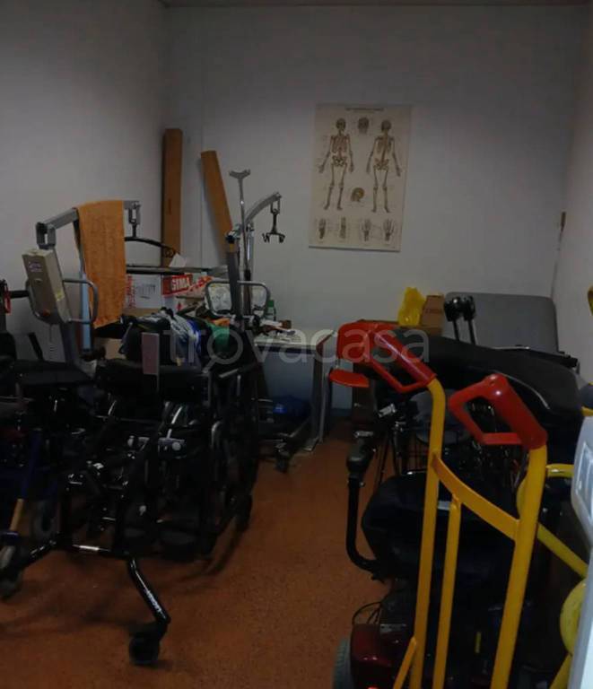 immagine annuncio 4 di 15