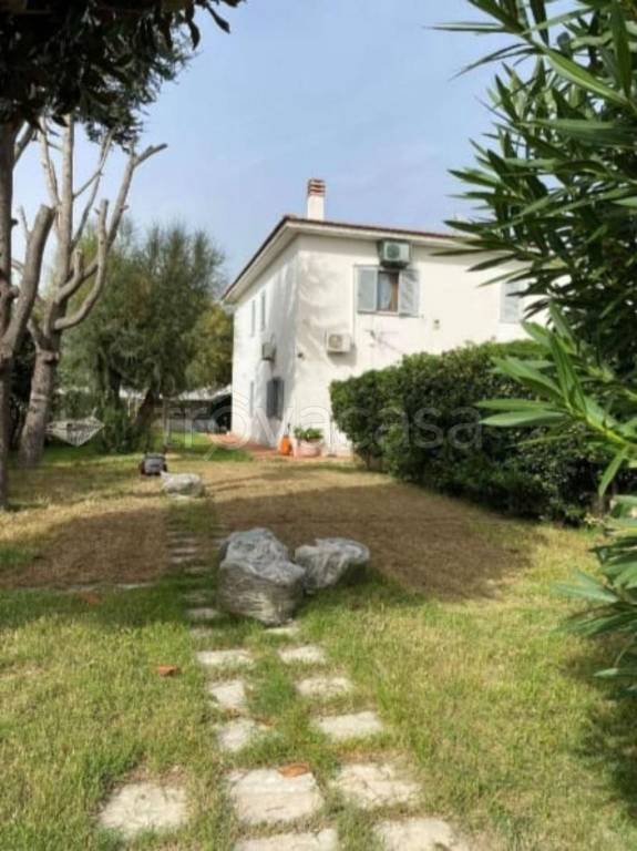 immagine annuncio 2 di 14