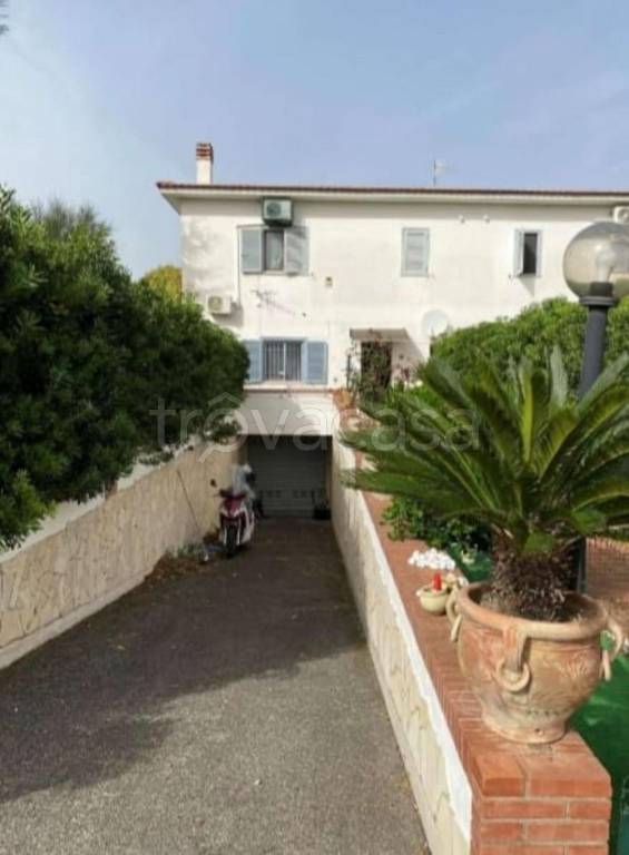 immagine annuncio 9 di 14