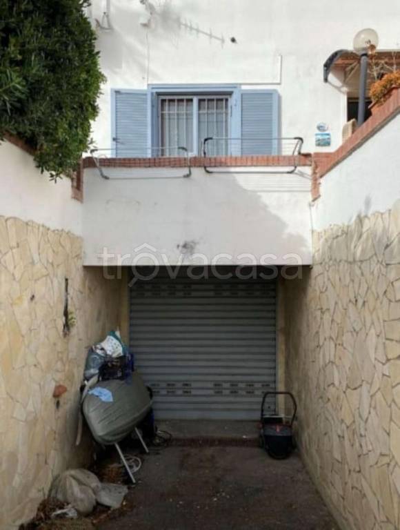 immagine annuncio 10 di 14