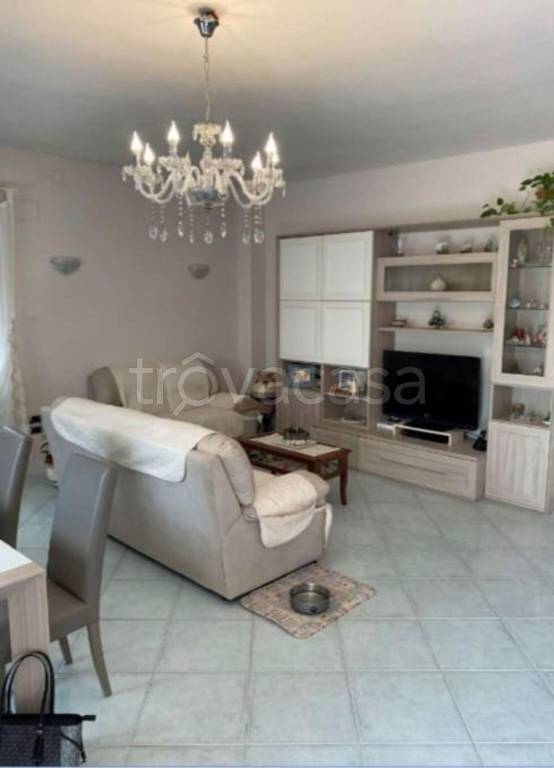 immagine annuncio 12 di 14