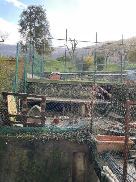 immagine annuncio 9 di 11