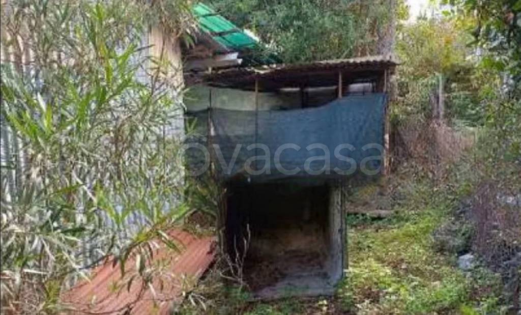 immagine annuncio 4 di 14