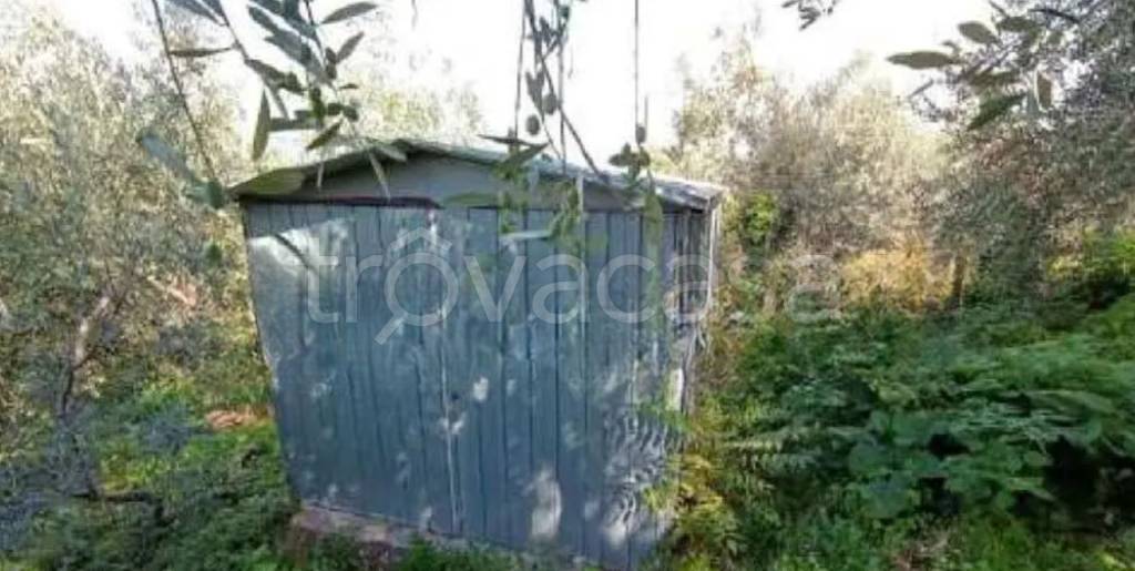 immagine annuncio 7 di 14