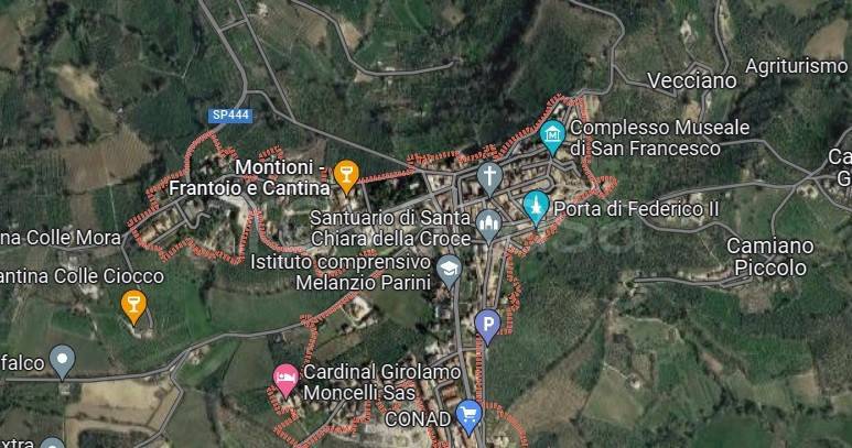 immagine annuncio 9 di 15