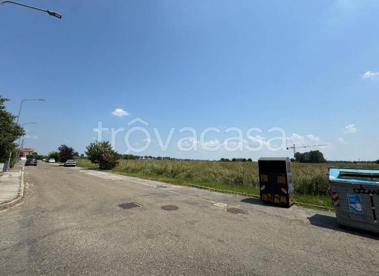 immagine annuncio 3 di 8