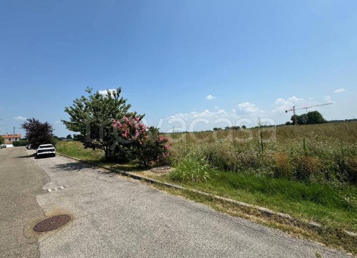 immagine annuncio 5 di 8