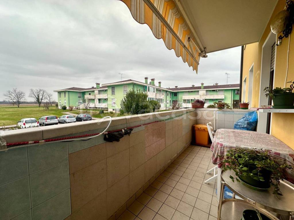 immagine annuncio 7 di 13