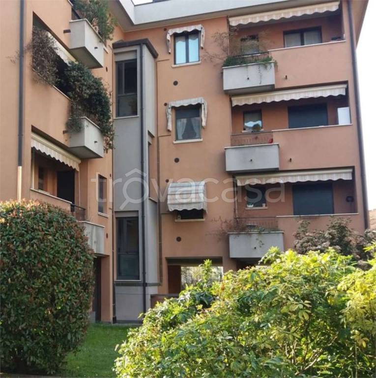 immagine annuncio 5 di 14