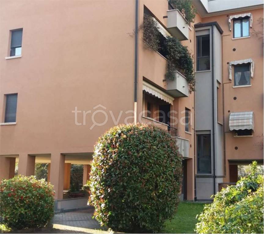 immagine annuncio 12 di 14