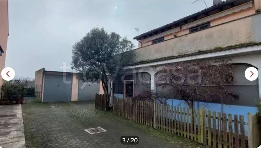 immagine annuncio 3 di 15