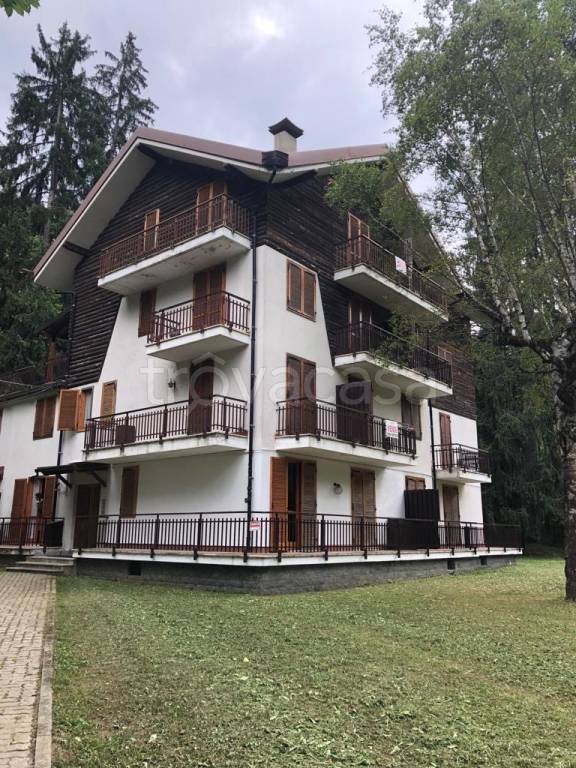 immagine annuncio 1 di 12