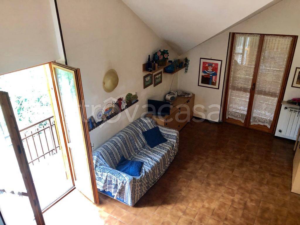 immagine annuncio 5 di 12