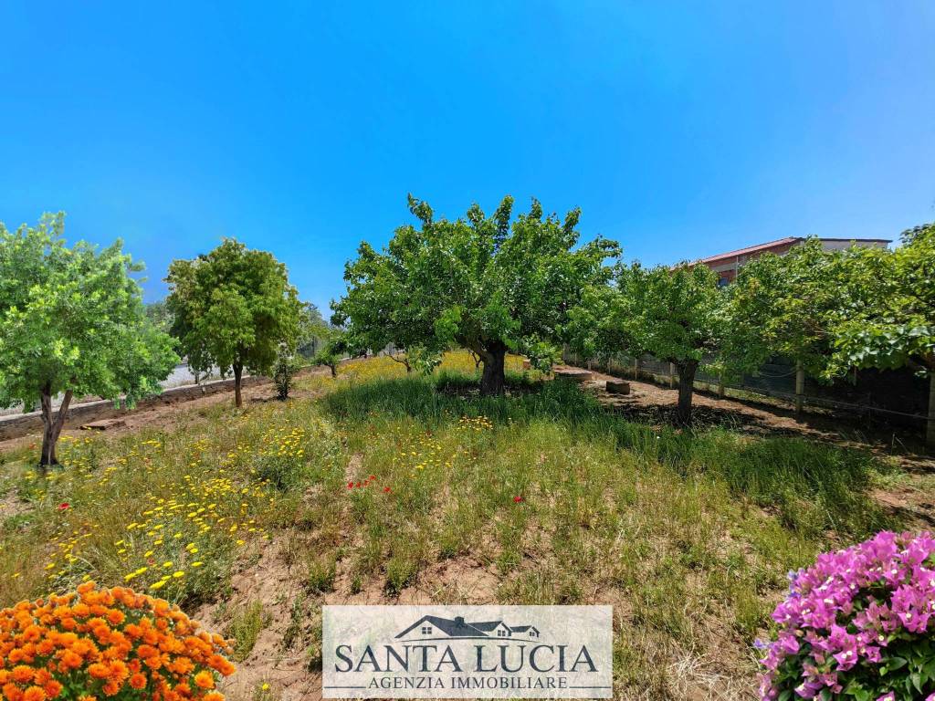 immagine annuncio 4 di 8