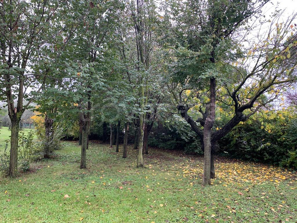 immagine annuncio 1 di 6