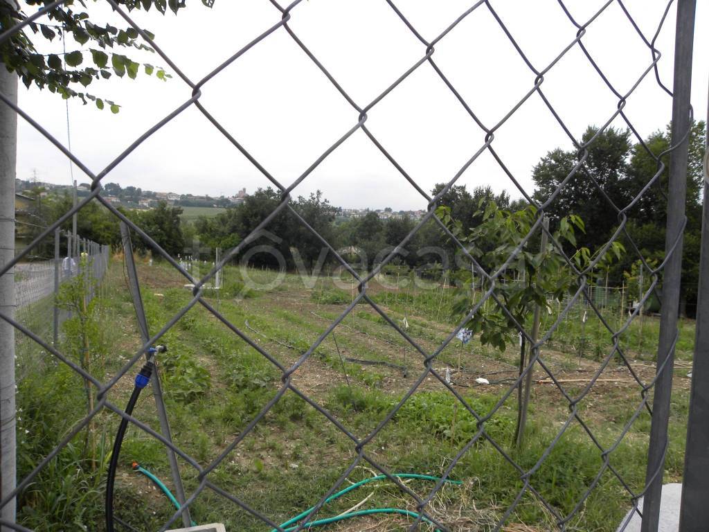 immagine annuncio 2 di 6