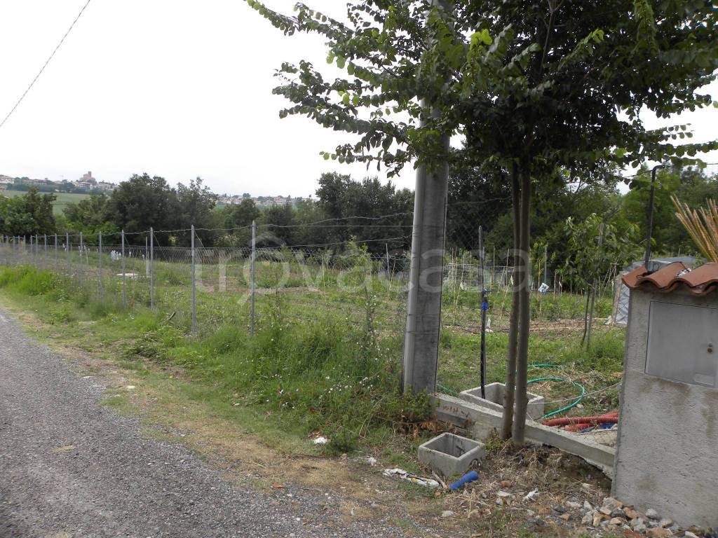 immagine annuncio 4 di 6