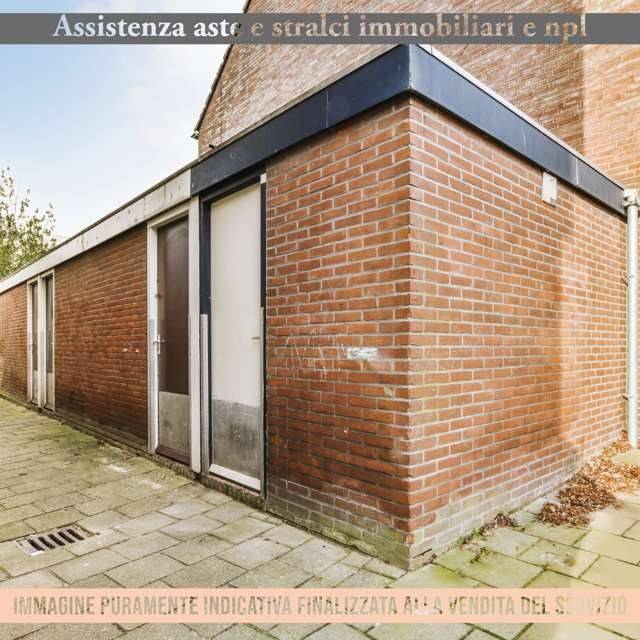 immagine annuncio 1 di 13