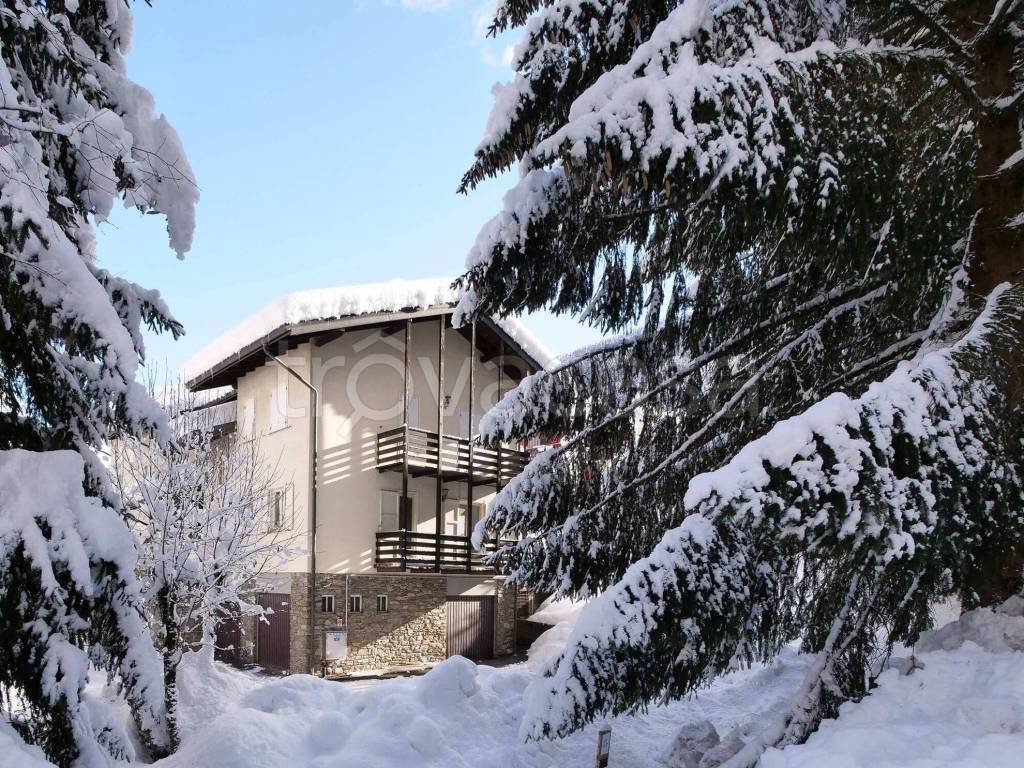 immagine annuncio 4 di 15