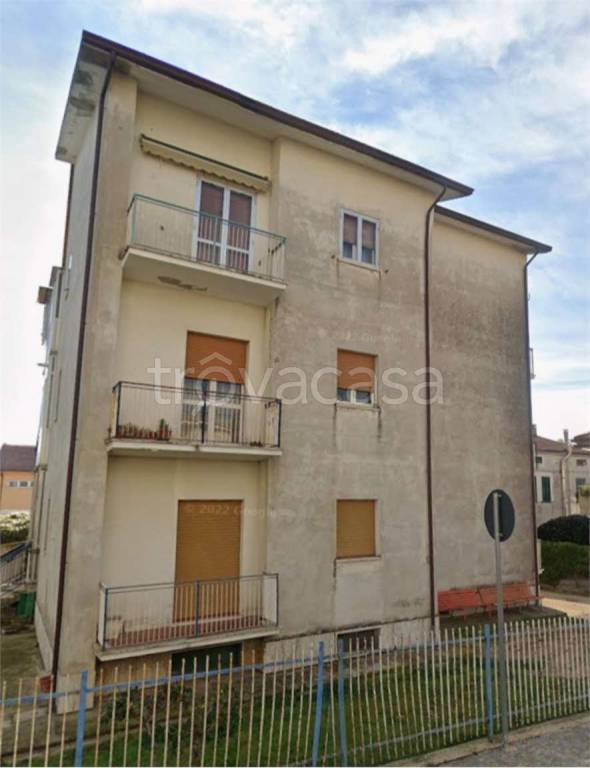 immagine annuncio 12 di 13