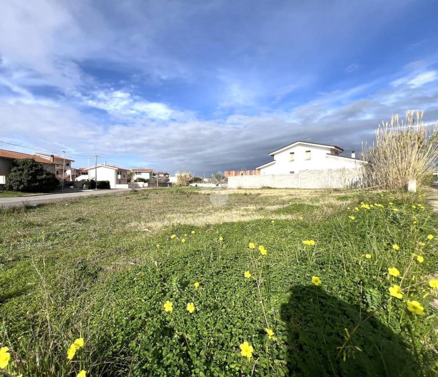 immagine annuncio 5 di 7