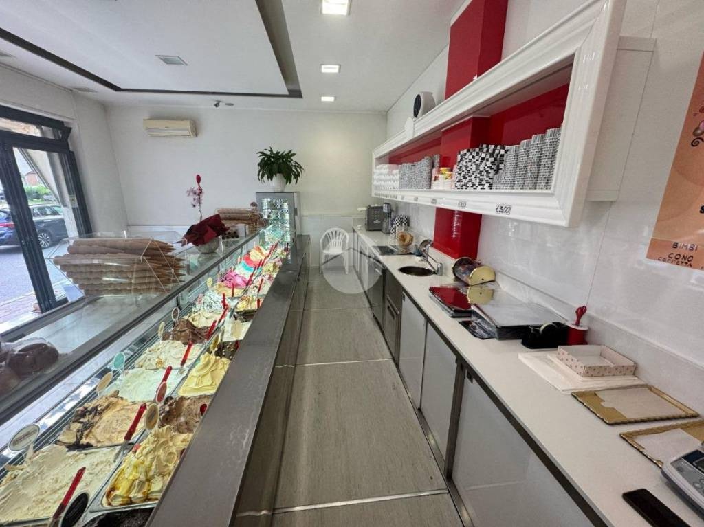 immagine annuncio 3 di 12