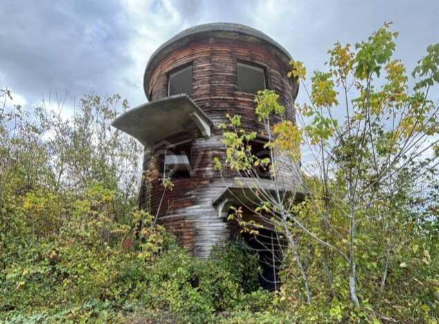 immagine annuncio 5 di 8